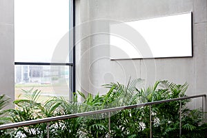 Business corporate green area with an empty white sign / advertisement frame on a concrete wall near a window indoors