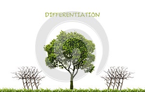 Business, differentiation concept photo