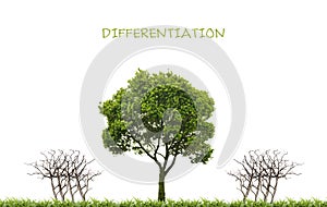Business, differentiation concept