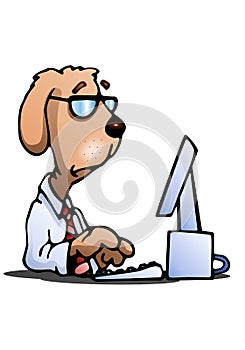 Business dog on isolated white