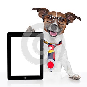 Business dog tablet pc ebook