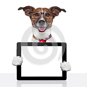 Business dog tablet pc ebook touch pad