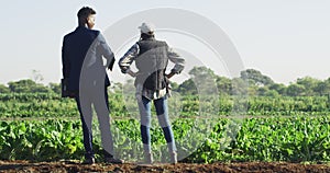 Business, farmer and businessman talk in field, investment in sustainability in farming. Growth, development and