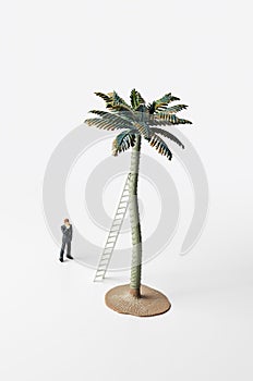 Business figurine, ladder and palm tree