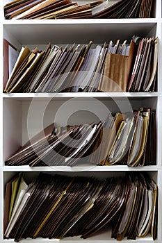 Business Files in Folders Boxes and Shelf