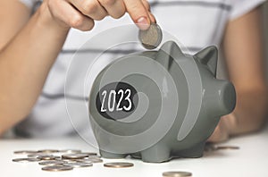 Business and finance concept. number 2023 on piggy bank, budget on new year