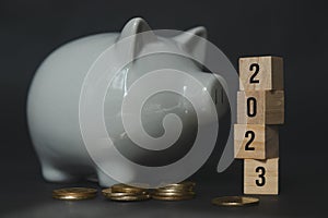 Business and finance concept. number 2023 on piggy bank, budget on new year