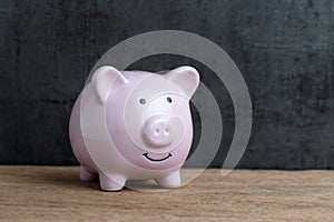 Business or finance saving concept by pink piggy bank on wooden
