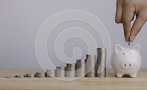 Business finance and saving money investment, Hand puting coin on white piggy bank and stacking coins saving concept for future.