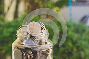 Business and financial concept: close up money coins in savings money glass jar with green bush in the background.