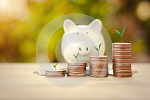 Business Financial and Saving Money concept.Money coin stack for growing with piggy bank,income growing in the future