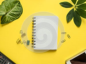 Business flat lay with copy space, calculator, pencil, Notepad on colorful yellow background Plants green leaves