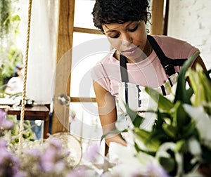 Business of flower shop with woman owner photo