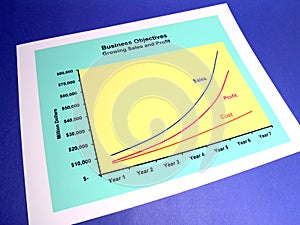 Business Graph