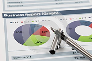 Business graph analysis report