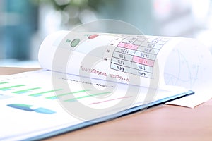 Business graph analysis report. Project Budgeting