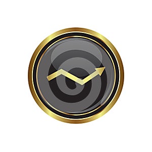 Business graph icon on the button