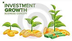 Business Growth Concept Vector. Plant From Money. Gold Coins. Success Company. Isolated Flat Cartoon Illustration