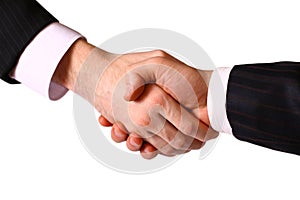 Business handshake.