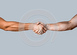 Business handshake and business people concepts. Two men shaking hands  on gray background. Close-up image of a