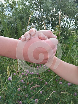 Business handshake and business people concepts. Two men shaking hands  on white background