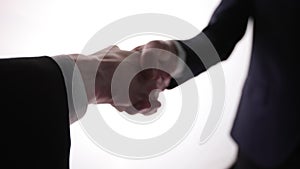 Business handshake - Hand holding on white background