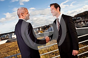 Business handshake over the deal