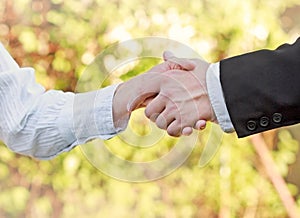 Business handshake - successful business