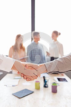Business handshake. Two businessman shaking hands with each other outside