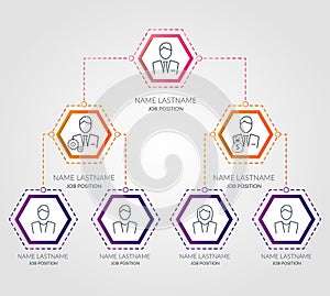 Business hierarchy hexagon chart infographics. Corporate organizational structure graphic elements. Company organization