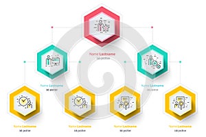 Business hierarchy organogram chart infographics. Corporate