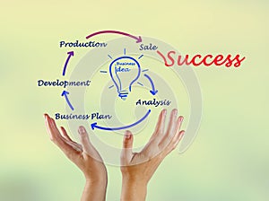 From business idea to success