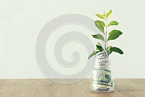 Business image of plant growing in savings jar, money investment and financial growth concept