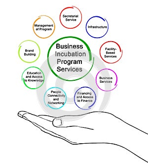 Business Incubation Program Services