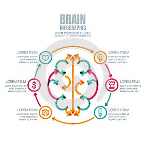 Business infographics vector template. Brain made from colorful arrows, outline icons set.