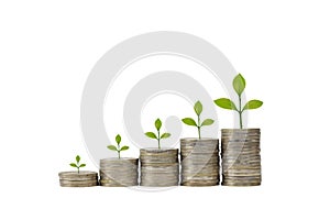 Business investment and saving growth for advertising concept. Plant growing on stacking coin on isolated and white background stu