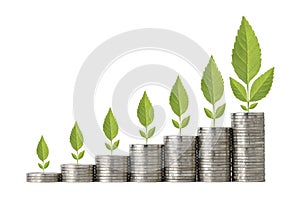 Business investment and saving growth for advertising concept. Plant growing on stacking coin on isolated and white background stu