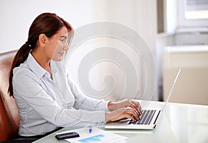 Business lady working with her laptop