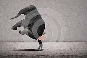 Business leader lifting elephant on grey