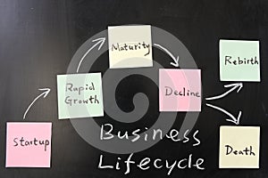 Business lifecycle concept