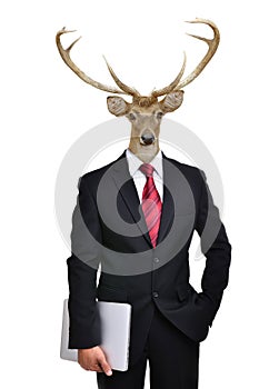 Business man with animal head isolated