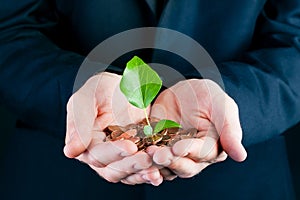 Business man holding seedling in his hands