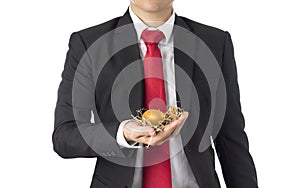 Business man invest in gold egg