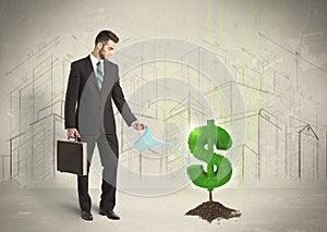 Business man poring water on dollar tree sign on city background