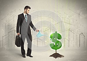 Business man poring water on dollar tree sign on city background