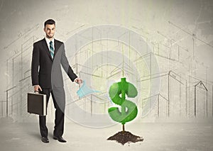 Business man poring water on dollar tree sign on city background