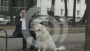 Business man talking by phone, big white dog siting near him