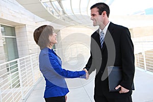Business Man and Woman Handshake