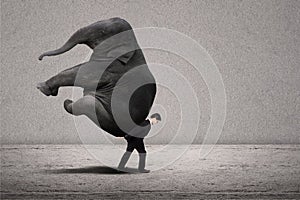 Business manager carry elephant on grey - leadership concept
