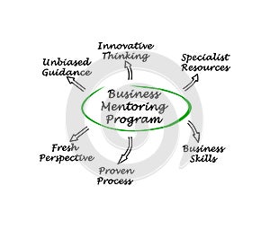 Business Mentoring Program